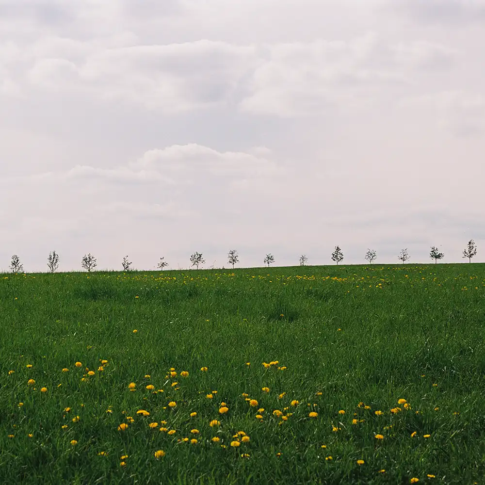 calm art photography