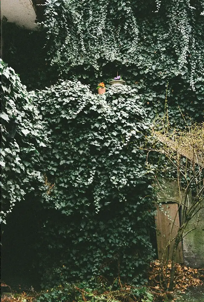 calm woman on the beach