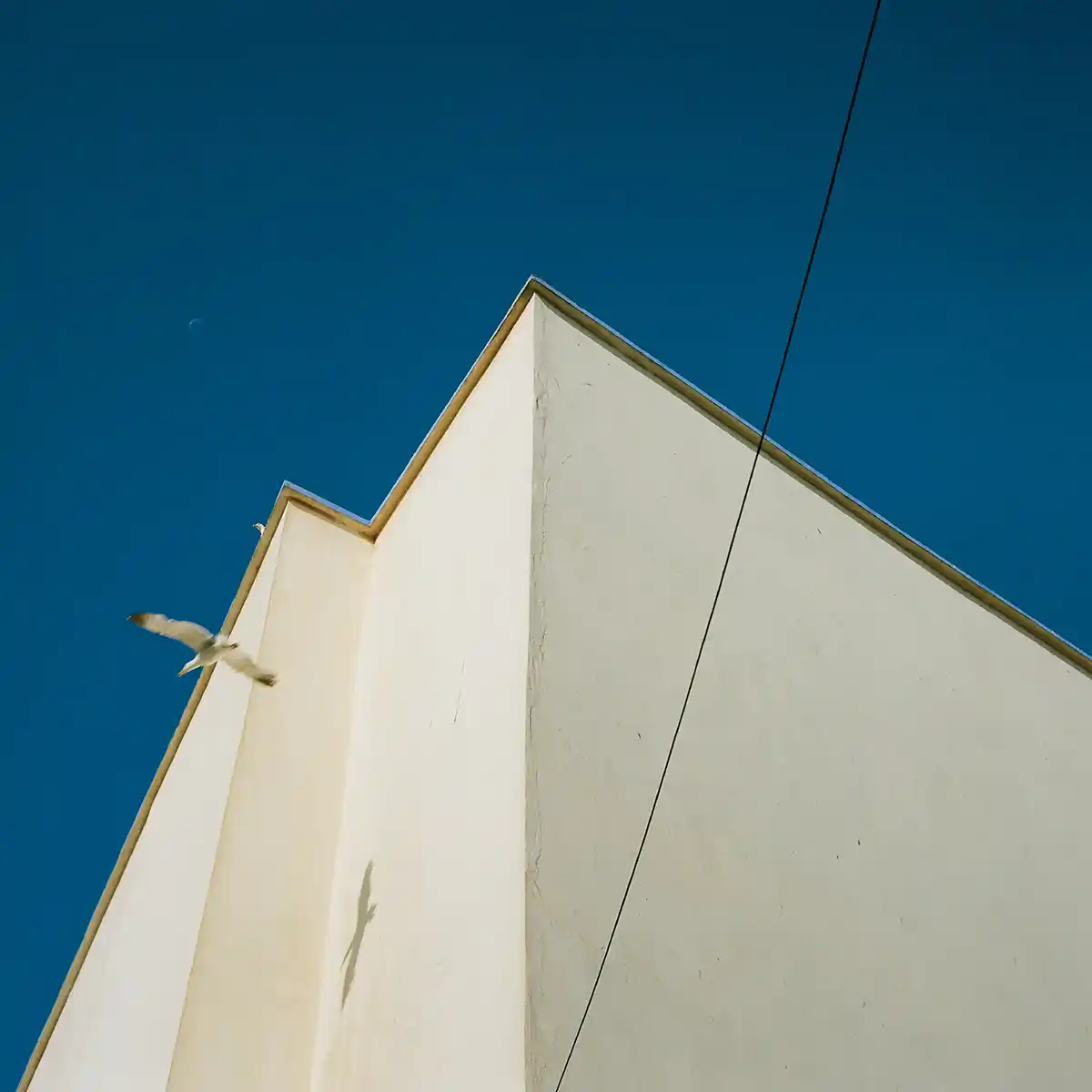 Blue architecture in the photograph Blue House