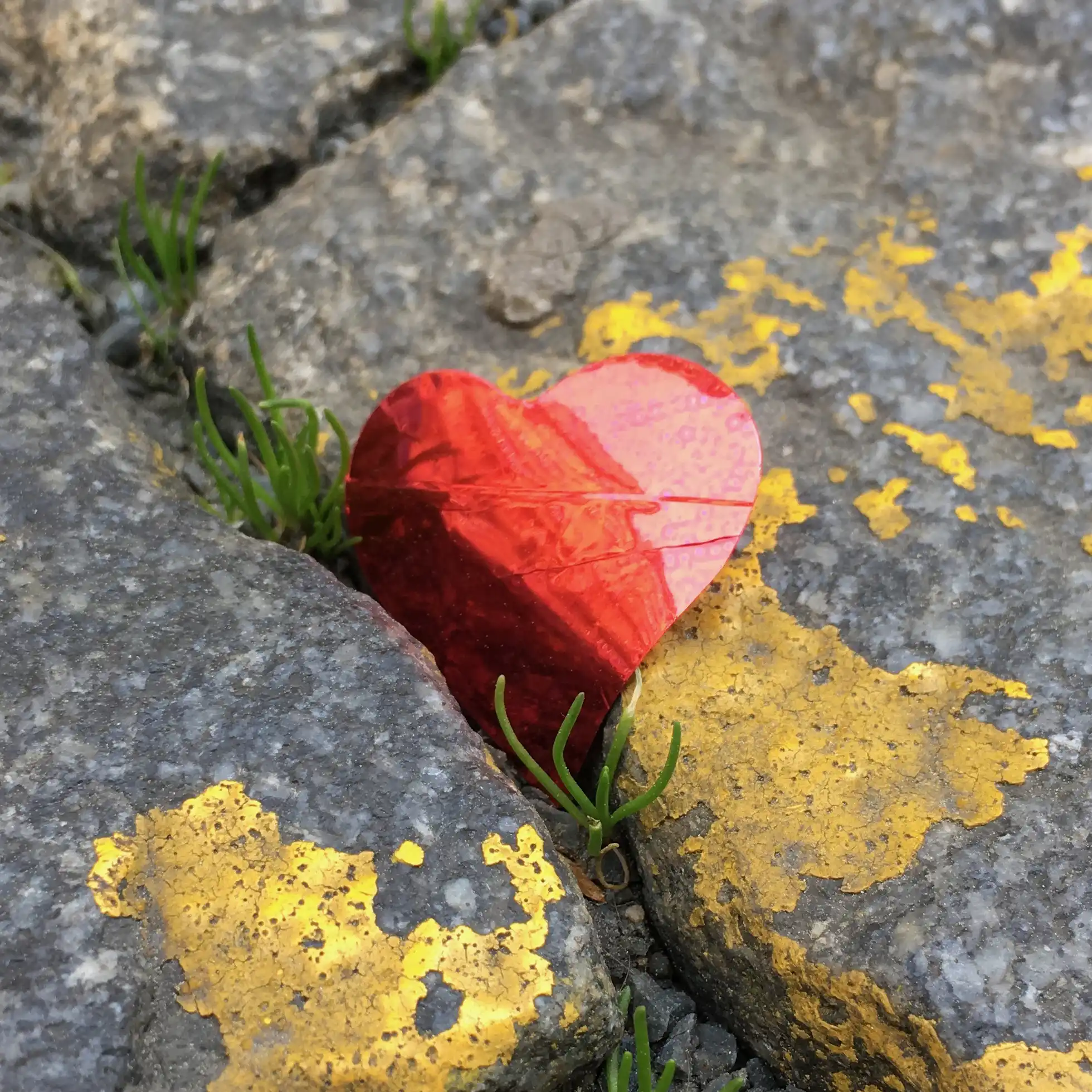 L. O. V. E. I. – love photography by Jan Maghreb