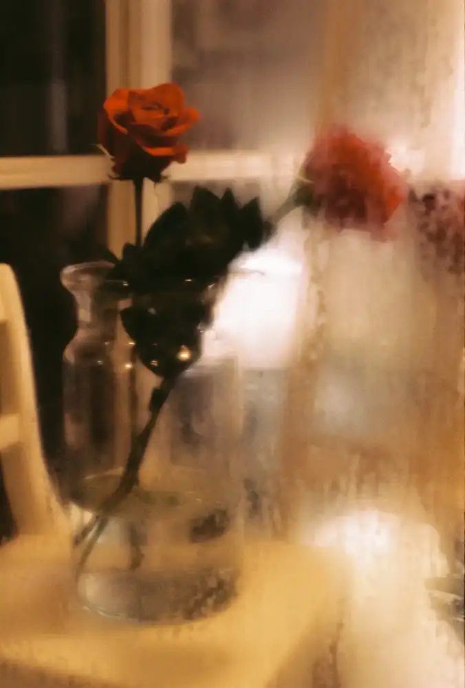 calm art photography