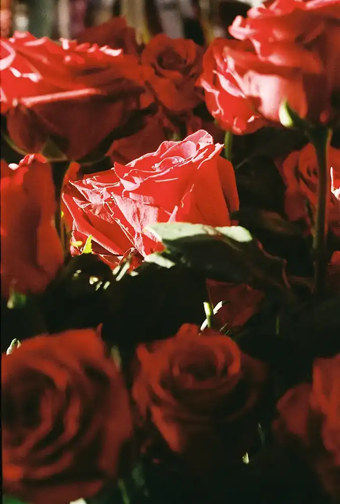 meditative photography