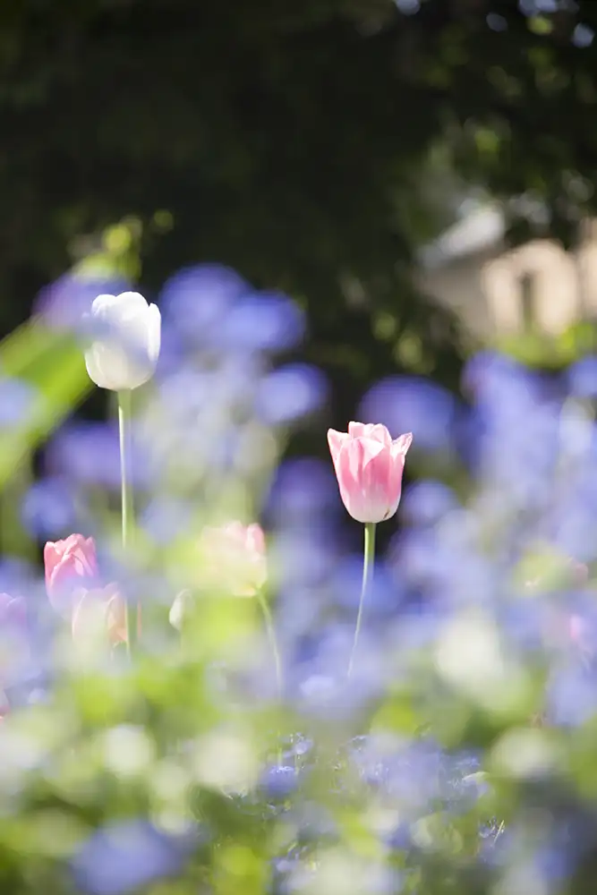calm woman on the beach