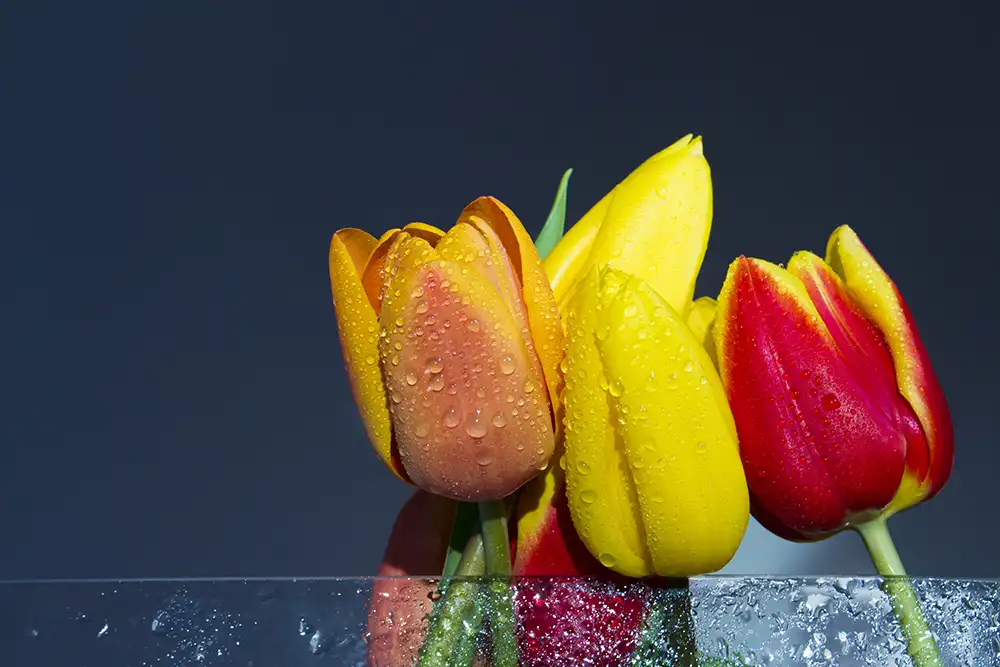 calm woman on the beach